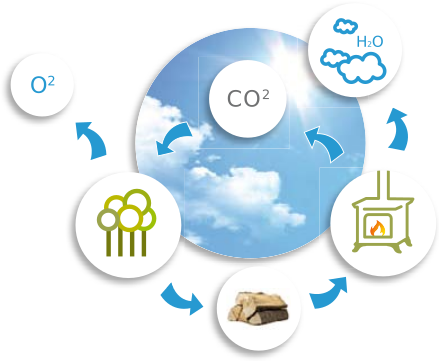 Odoo • Text and Image